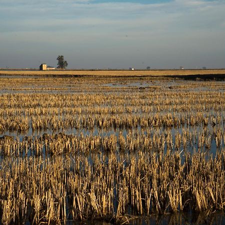 Mas Illa De Riu - Autentica Masia Del Delta Del Ebro Con Capacidad Para 20 Personas - Deltavacaciones Sant Jaume d'Enveja Eksteriør billede