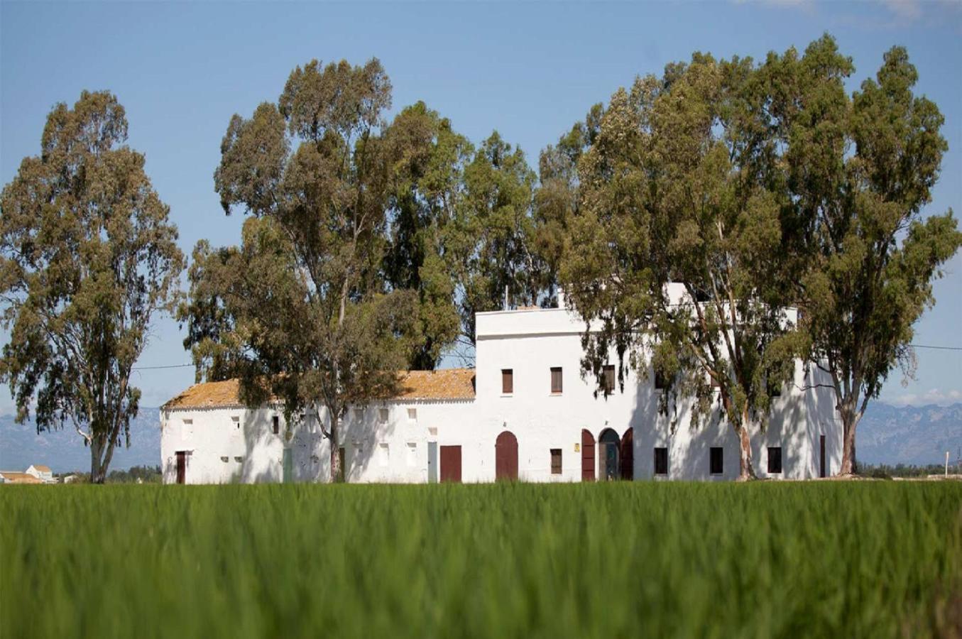 Mas Illa De Riu - Autentica Masia Del Delta Del Ebro Con Capacidad Para 20 Personas - Deltavacaciones Sant Jaume d'Enveja Eksteriør billede
