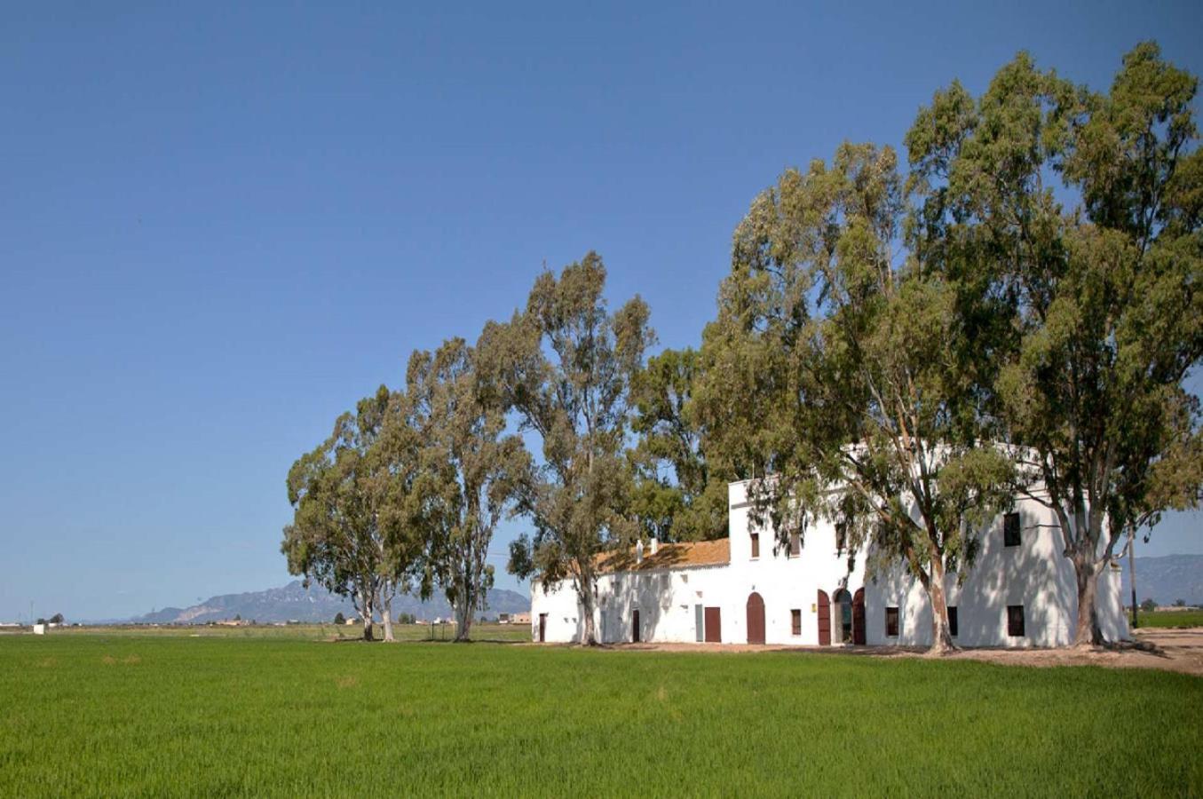 Mas Illa De Riu - Autentica Masia Del Delta Del Ebro Con Capacidad Para 20 Personas - Deltavacaciones Sant Jaume d'Enveja Eksteriør billede