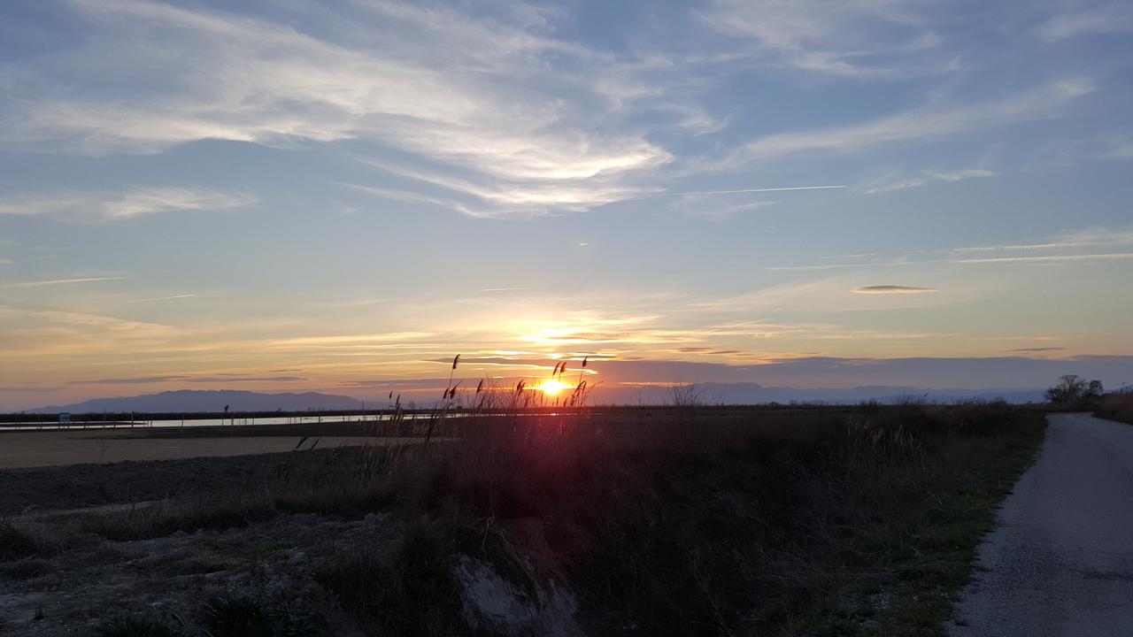 Mas Illa De Riu - Autentica Masia Del Delta Del Ebro Con Capacidad Para 20 Personas - Deltavacaciones Sant Jaume d'Enveja Eksteriør billede