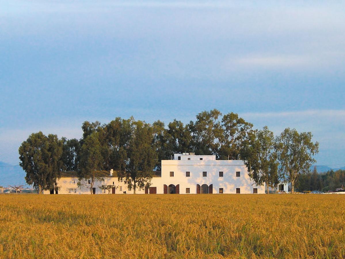 Mas Illa De Riu - Autentica Masia Del Delta Del Ebro Con Capacidad Para 20 Personas - Deltavacaciones Sant Jaume d'Enveja Eksteriør billede