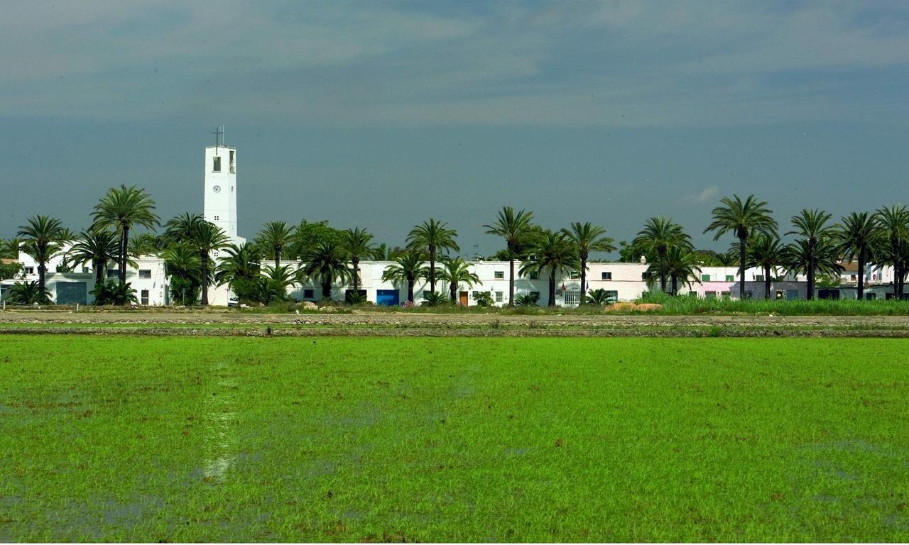 Mas Illa De Riu - Autentica Masia Del Delta Del Ebro Con Capacidad Para 20 Personas - Deltavacaciones Sant Jaume d'Enveja Eksteriør billede