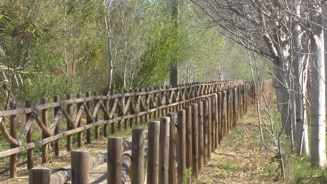 Mas Illa De Riu - Autentica Masia Del Delta Del Ebro Con Capacidad Para 20 Personas - Deltavacaciones Sant Jaume d'Enveja Eksteriør billede